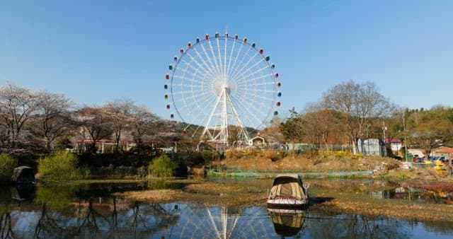 Ferris wheel surrounded by trees in a park