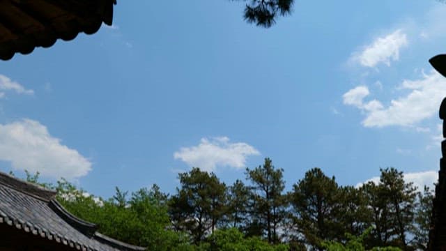 Midday Sky with Flowing Clouds