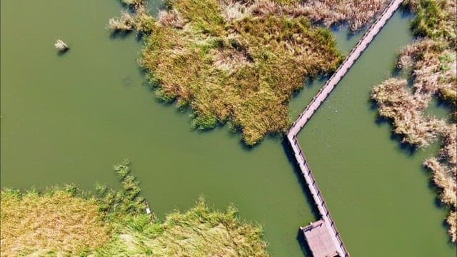Panoramic view of the ecological park overlooking the wetlands on a sunny day