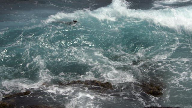 Powerful Waves Crashing in the Ocean