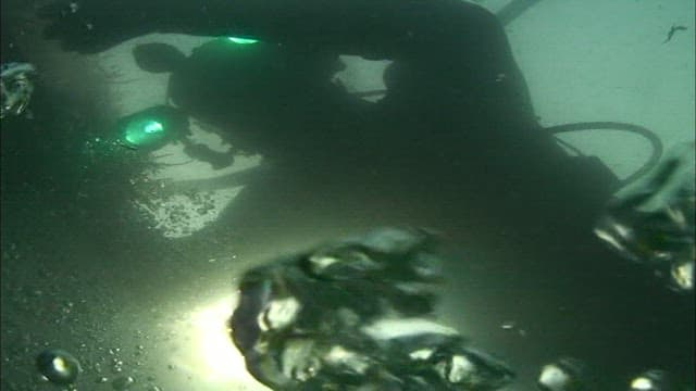 Underwater Scuba Diving Adventure