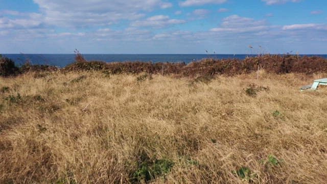 View of the emerald coast beyond the vast grasslands with dry grass
