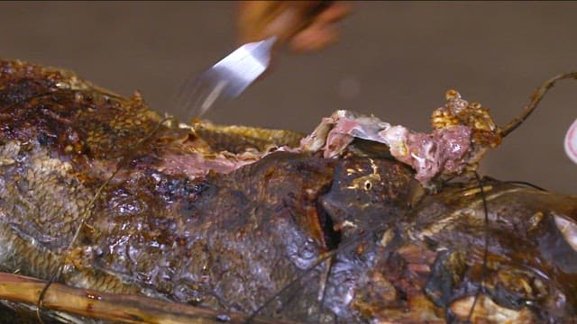 Grilled giant trevally being prepared with a fork