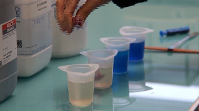 Scientist Preparing Solutions in Laboratory