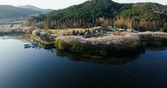 Beautiful springtime view of a tranquil lake surrounded by lush green hills with blossom