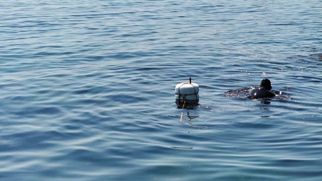 Diver in the sea with a buoy