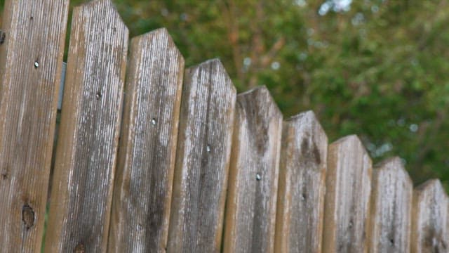 Weathered wooden fence in a lush garden