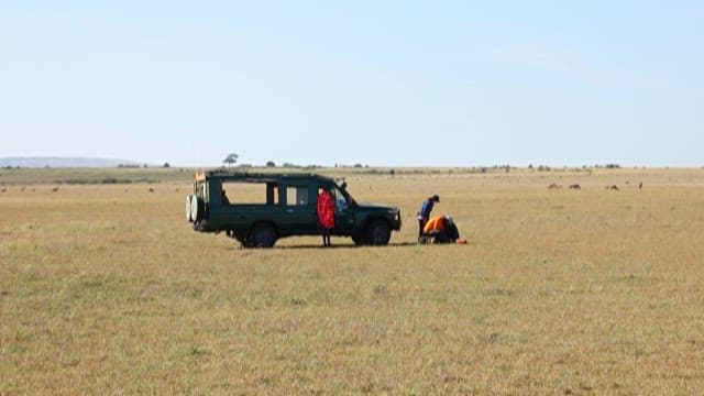 Safari Exploration with Vehicle in Savanna