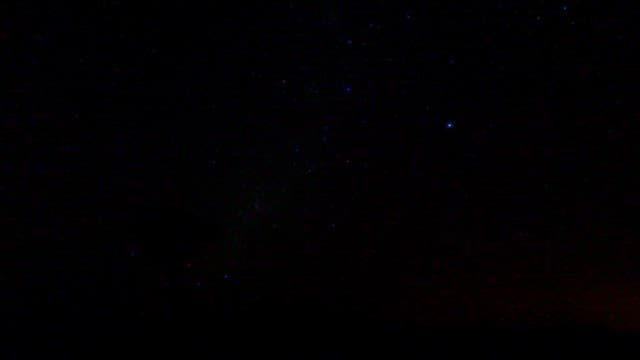 Starry Night Sky Over a Solitary Tree