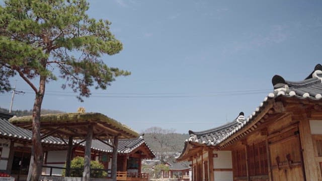Traditional Hanok Village Under a Clear Blue Sky