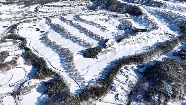 Snowy Countryside Landscape