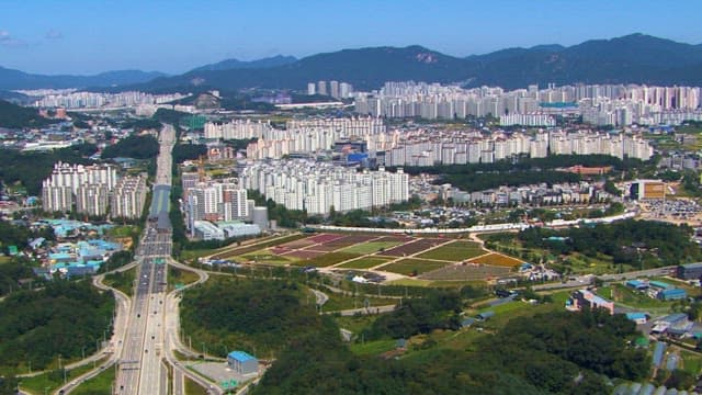 Aerial View of Urban Gardens and Busy Roads