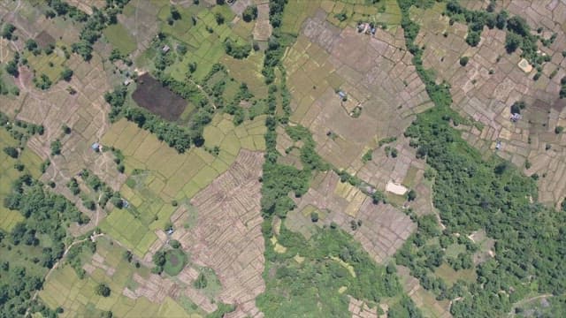 Expansive farmland with lush greenery