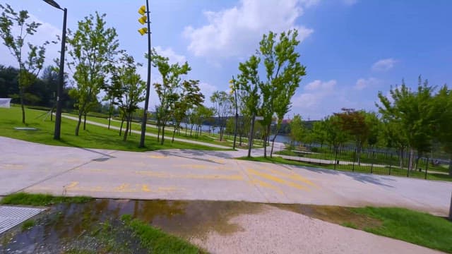 Quiet City Park on a Sunny Day