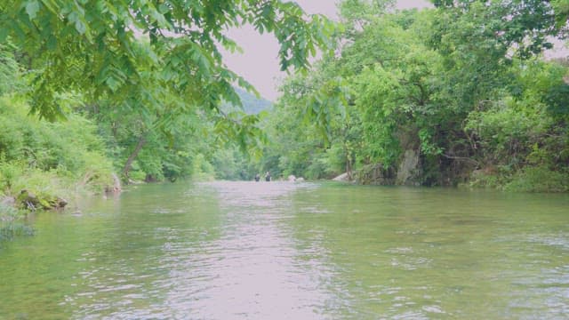 Tranquil river surrounded by lush greenery