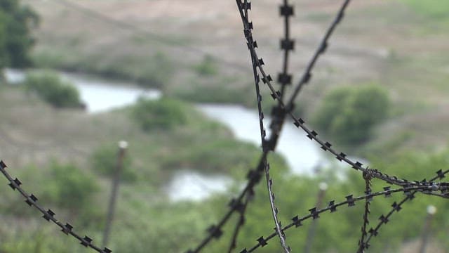 Lush Green Space of the DMZ Seen Through Barbed Wire