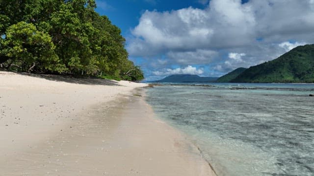 Serene beach with clear waters and lush greenery