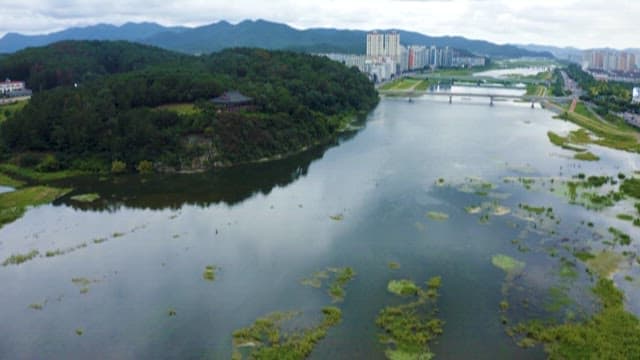 Urban and Nature Harmony with River and Cityscape