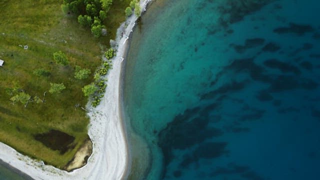 Green landscape and lake