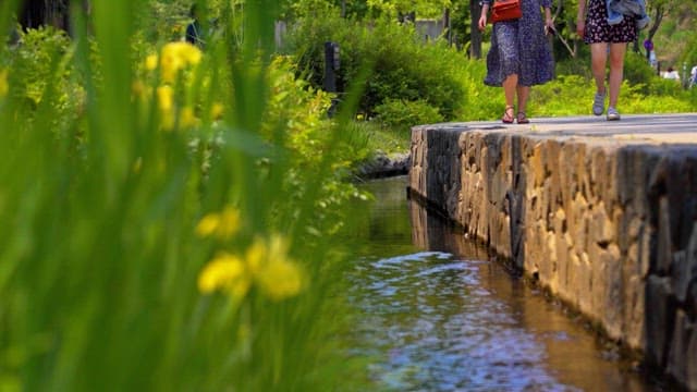 People strolling by a canal in a green park on a sunny afternoon