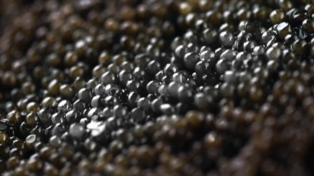 Shimmering Caviar, the Luxury Ingredient
