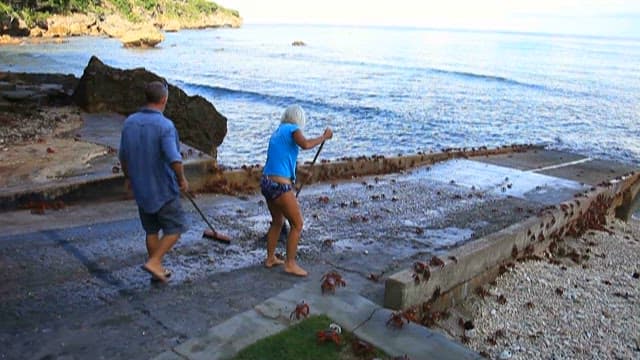 Boat preparing to sail from a coastal port