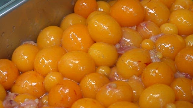 Trimmed chicken eggs