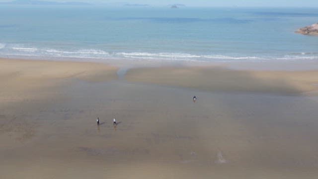 People Walking on Serene Beach Shoreline