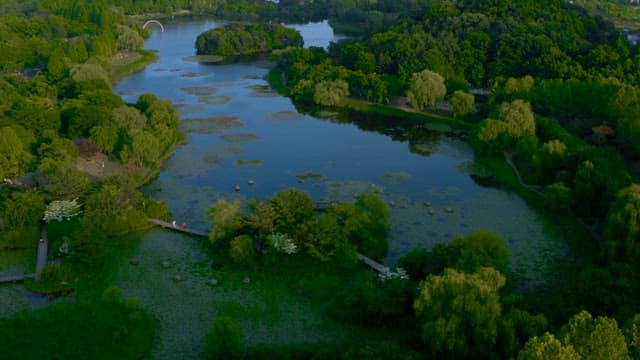 Serene Park Amidst Urban Surroundings