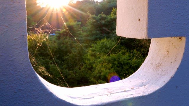 Sunset through spider webs