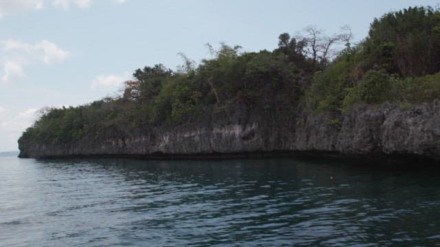 Coastal cliff with lush greenery above the ocean