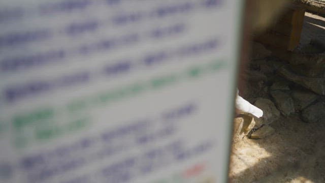 Poultry Yard with Birds Around the Coop