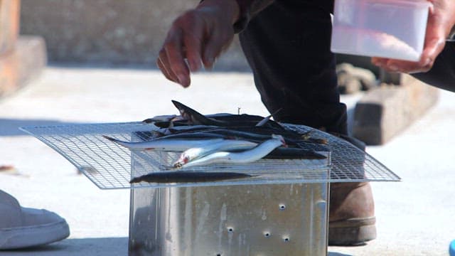 Salting sand eels on a metal grill outdoors
