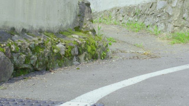 Running individuals along a moss-covered stone wall in an alley