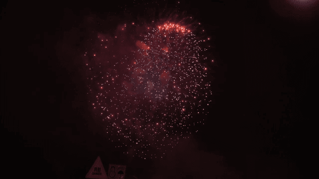Fireworks lighting up the night sky