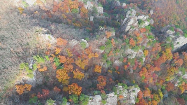 Colorful autumn forest with rocky cliffs