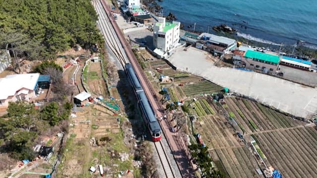 Train passing through a coastal rural town