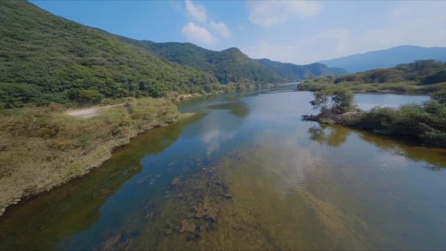 Clear river flowing through lush greenery on a sunny day