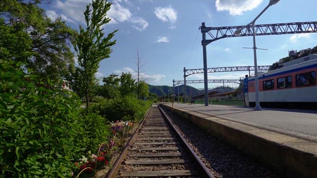 Train station and tracks surrounded by greenery on a sunny day with clear sky