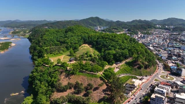 Lush green forest with a city in the background