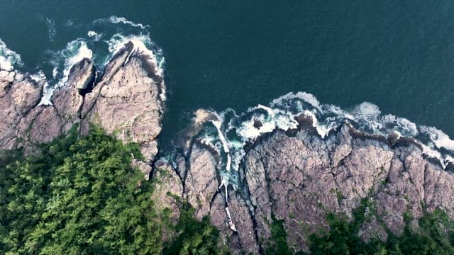 Rocky Coastline and Lush Forest