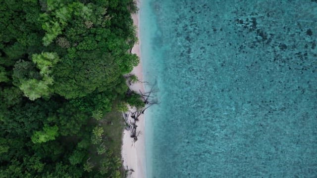 Clear emerald sea by the beach with lush forest
