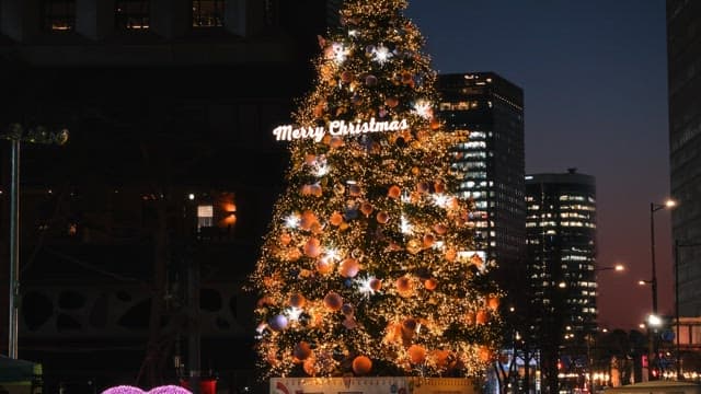 Illuminated Christmas Tree in City at Night