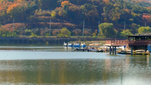 Lakeside with duck boats and wooden walkway in autumn