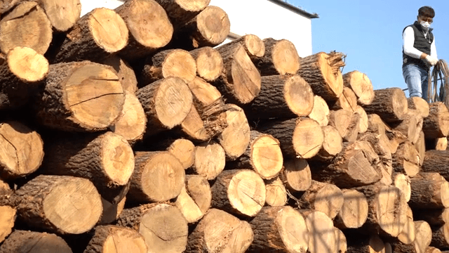 Logs stacked on a truck with a worker