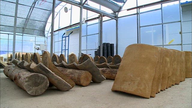 Elaborate traditional Korean roof tiles drying in a workshop
