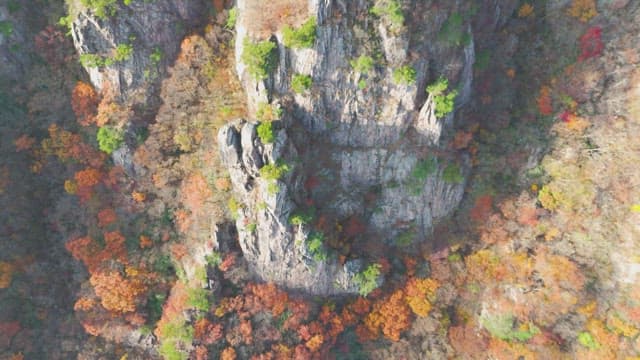Autumn foliage on rocky cliffs