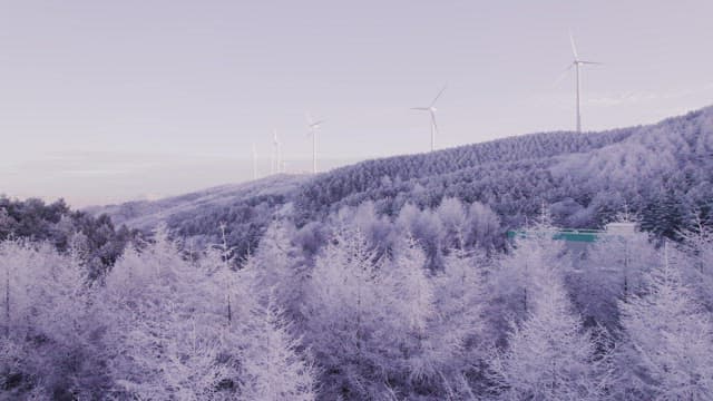 Wind Generators Overlooking a Snowy and Frosty Forest