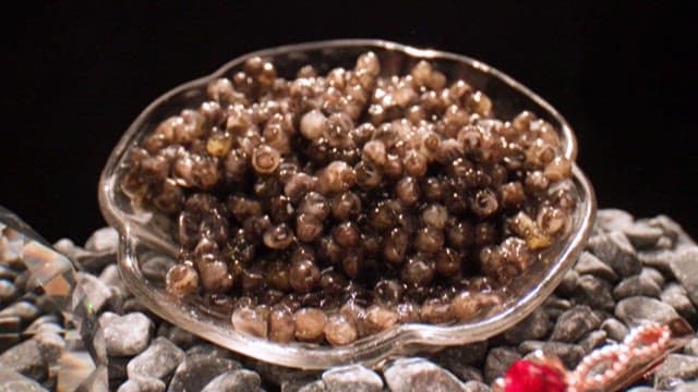 Shimmering Jewelry and Caviar, Exclusive Ingredient from the Sea