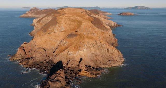 Coastal Landscape of a Rugged Coastal Cliffside
